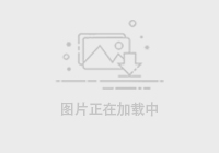雨燕直播
